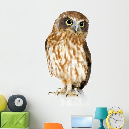 New Zealand Owl Wall Decal