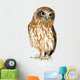 New Zealand Owl Wall Decal