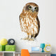 New Zealand Owl Wall Decal