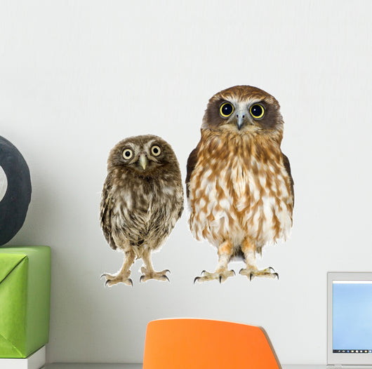 Owl and Owlet Wall Decal