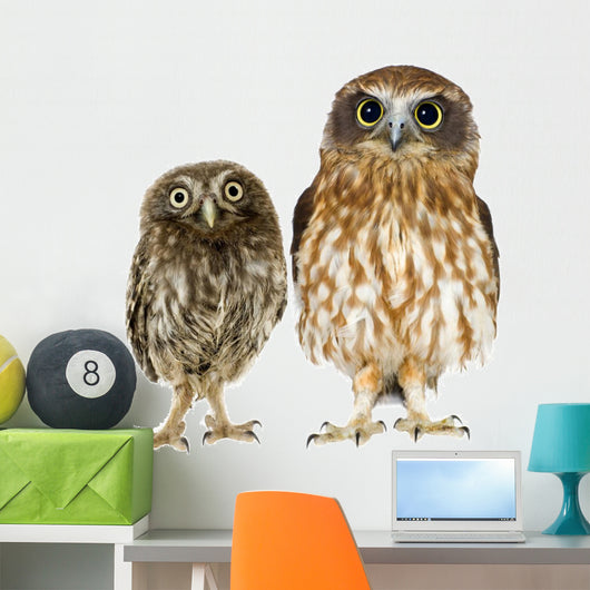 Owl and a Owlet Wall Decal