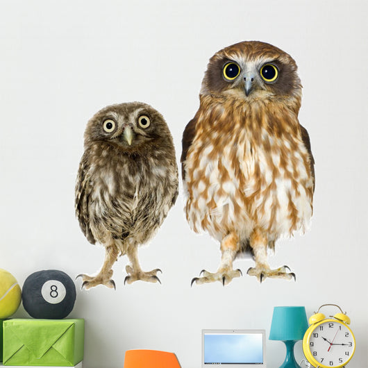 Owl and a Owlet Wall Decal