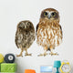 Owl and a Owlet Wall Decal