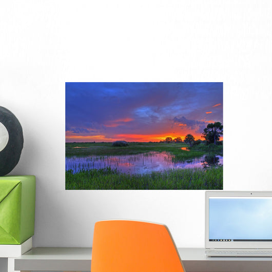 Everglades sunset Wall Mural