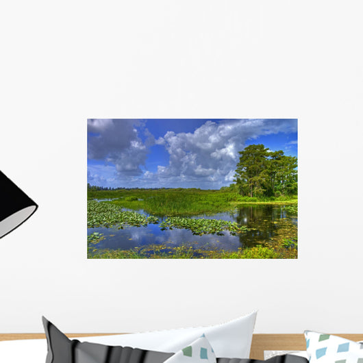 everglades landscape Wall Mural