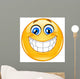 Big Smile Emoticon