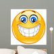 Big Smile Emoticon