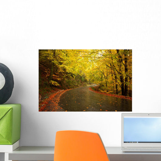 Autumn Landscape with Road