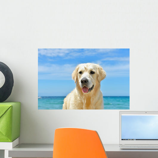 Dog Beach Golden Retriever Wall Mural