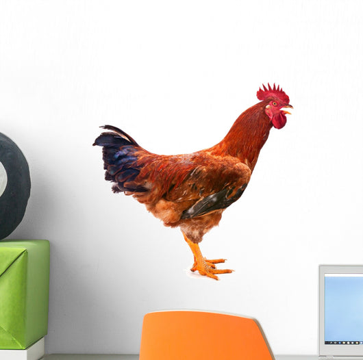 Red Rooster