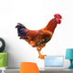 Red Rooster