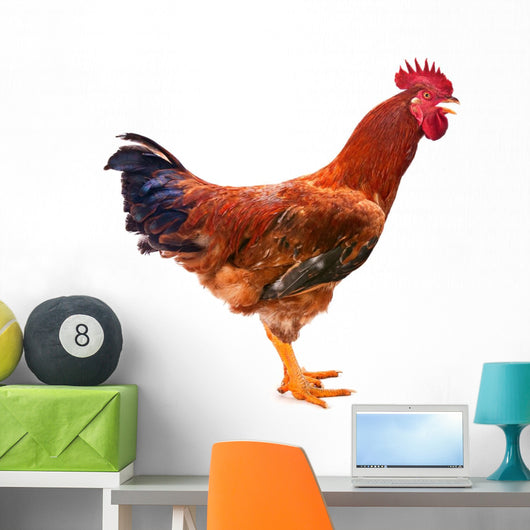 Red Rooster