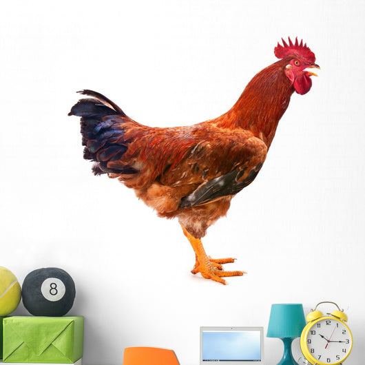 Red Rooster