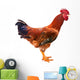 Red Rooster