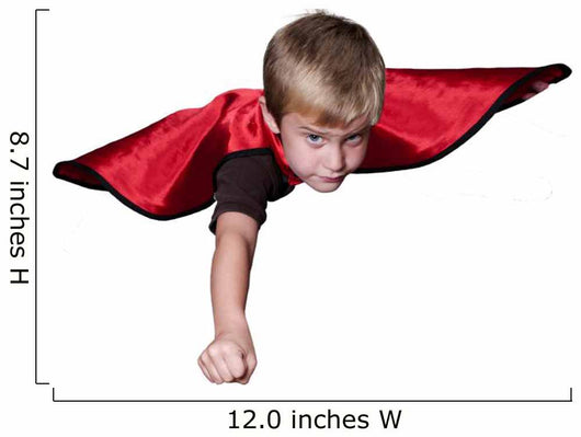 Super Hero Wall Decal
