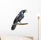 Crow