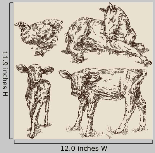 Animals