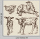 Animals