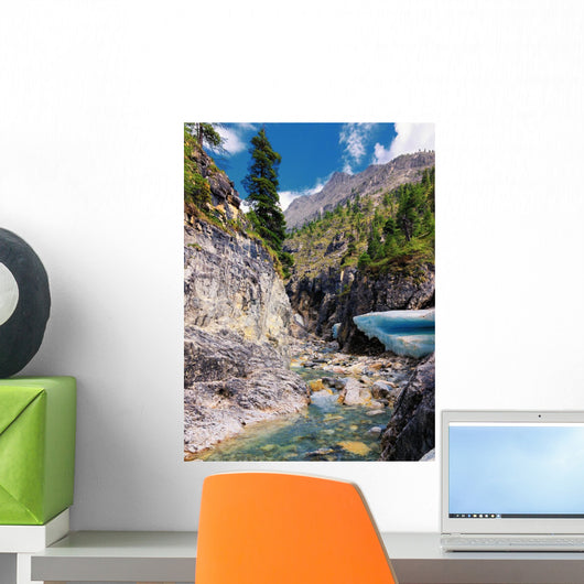 Canyon Mountain Stream Wall Mural