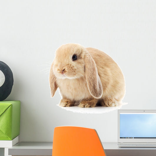 Lop-Eared Rabbit Wall Decal