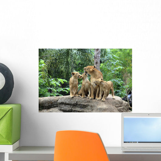 Family Lions