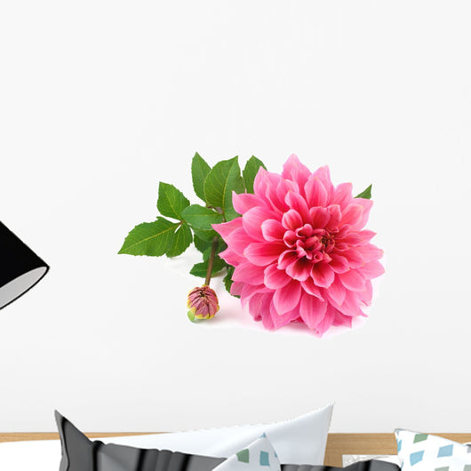 Pink Dahlia White Wall Decal