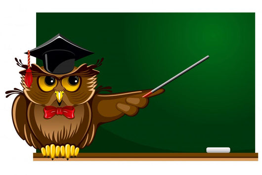 Wise owl Wall Decal
