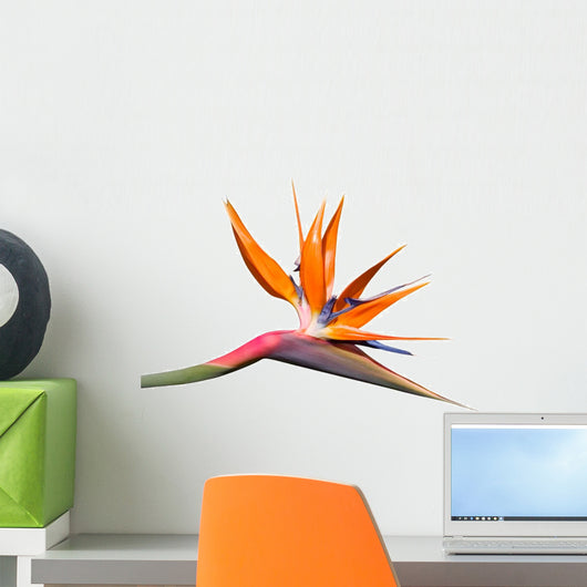 Bird of Paradise Flower Wall Decal
