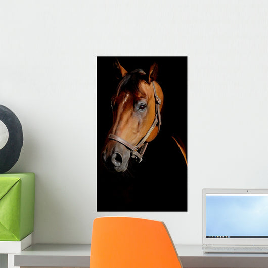 Horse Portrait Mystical