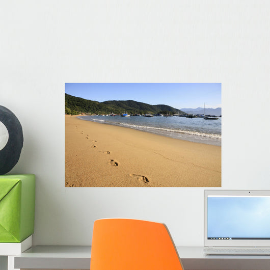 abraao beach ilha grande Wall Mural