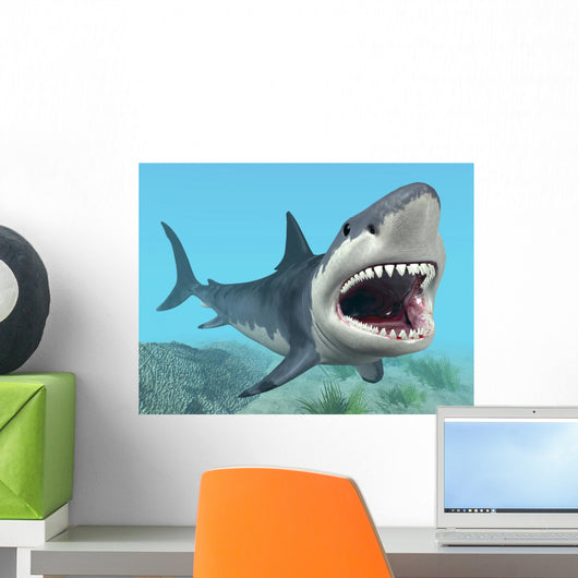 Great White Shark