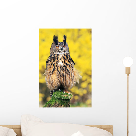 Eagle Owl Wall Mural