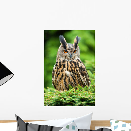 Eagle Owl Wall Mural