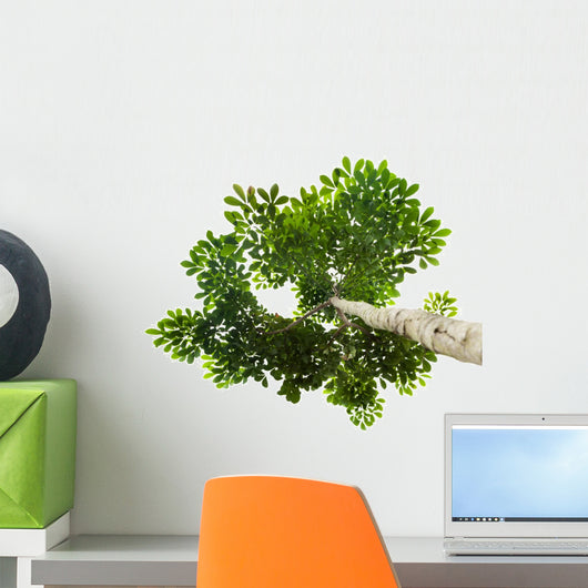 Green Leaf White with Wall Decal