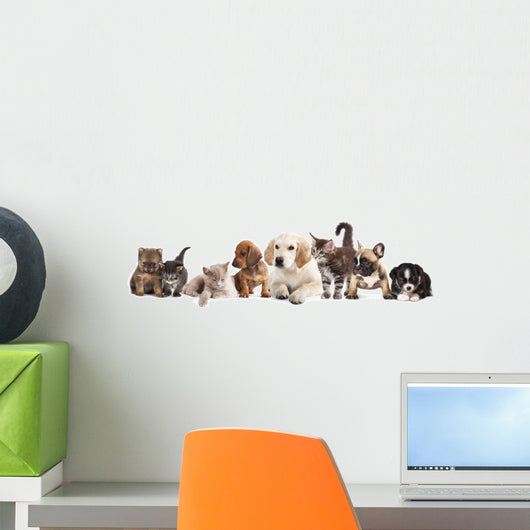 Cat and Dog Wall Decal