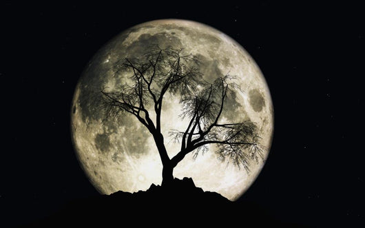 3D Render of Moon With Stars Wall Mural