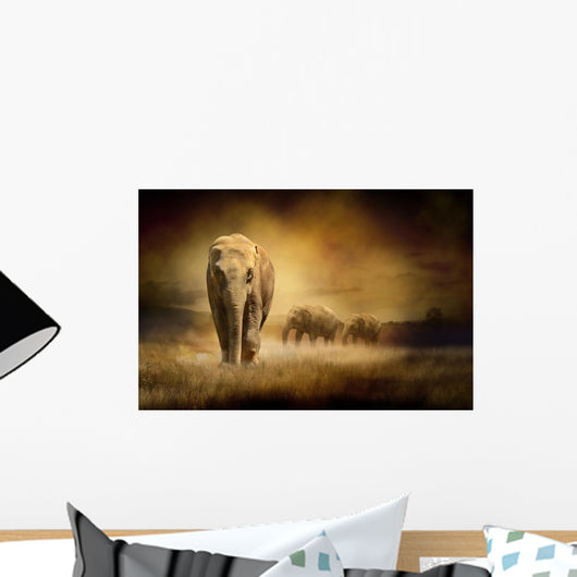 Elephants Sunset