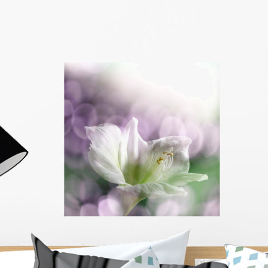 Lily and Sun Light