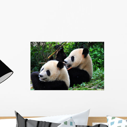 Panda Pair