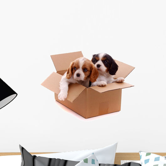 two sad puppies in a box Wall Decal