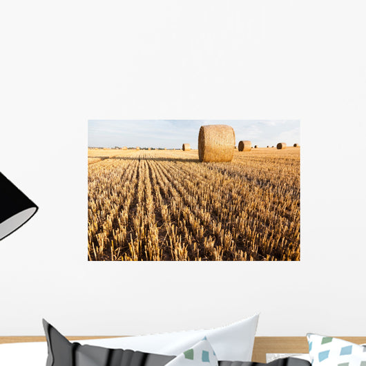 Straw Rolls Stubble Field