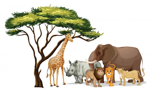 African Animals Wall Decal