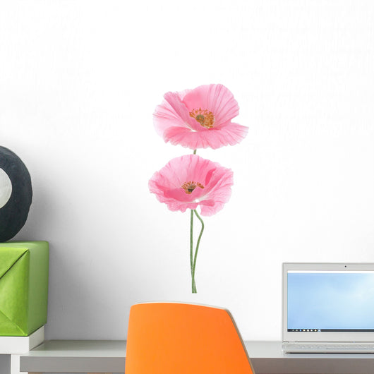 Pink Poppy Wall Decal