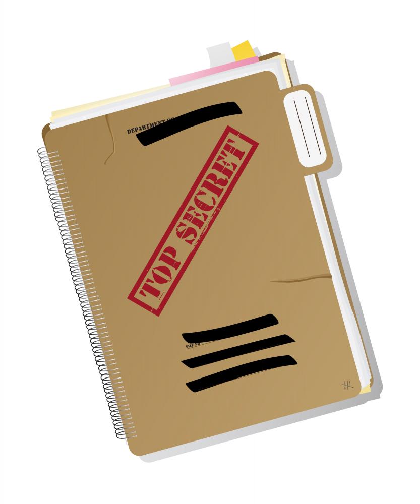 Top Secret Folder Wallmonkeys