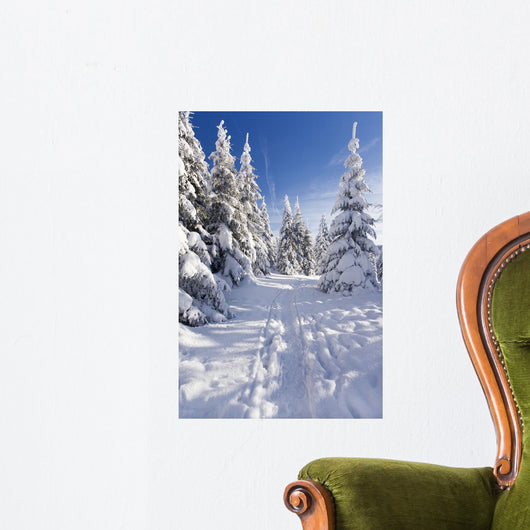 Wintertime