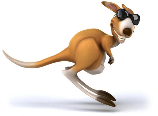 Fun Kangaroo Wall Decal