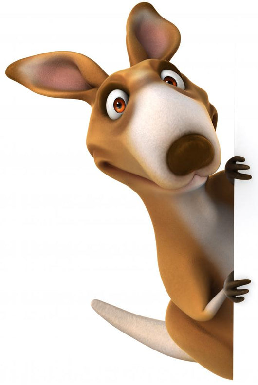 Fun Kangaroo Wall Decal