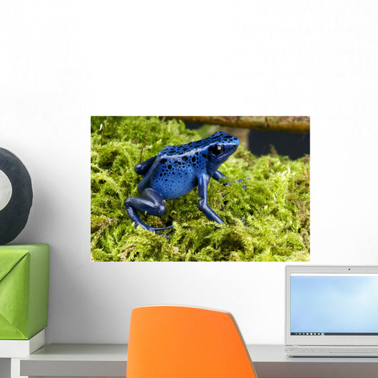 Blue Poison Dartfrog Dendrobates