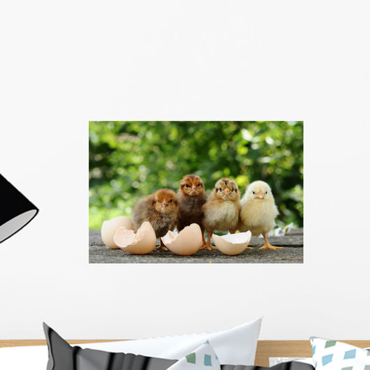 Small Chicks and Egg Wall Mural