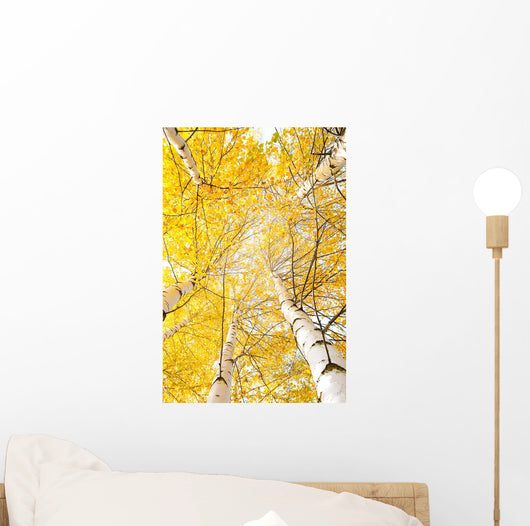 Autumn Trees with Yellowing